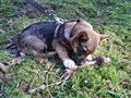 20200321_130753.jpg