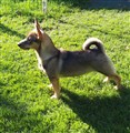 20200930_162625.jpg