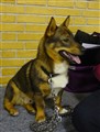 Max05-02-2012 Viktor.jpg