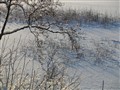 vinter102010.jpg