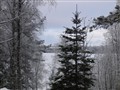 vinter22010.jpg