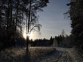 vinter92010.jpg